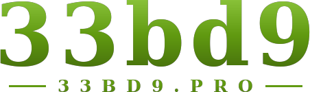 33bd9 logo